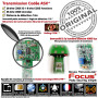 Capteur DT81R DMT Meian : surveillance pour villas, garages, box, granges